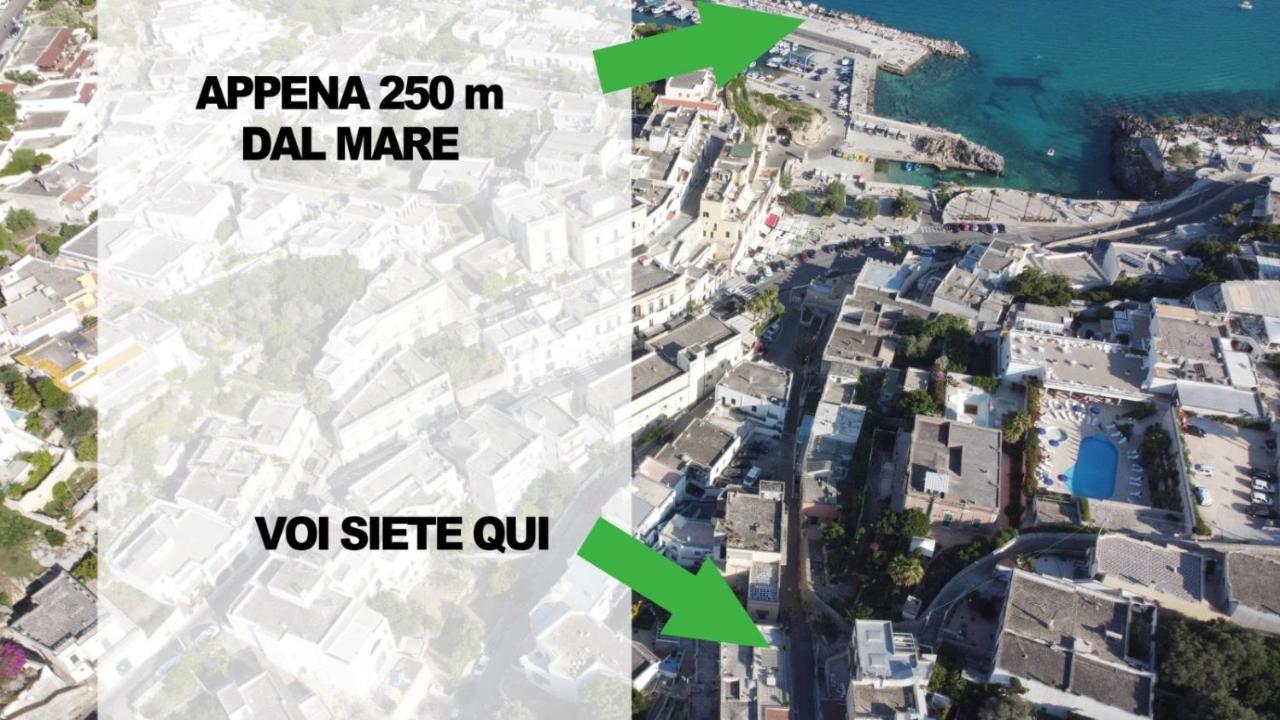 Apartment L' Attico Castrosalento